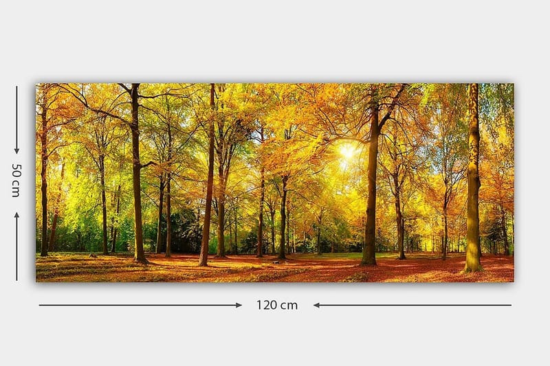 Canvastaulu YTY Landscape & Nature Monivärinen - 120x50 cm - Sisustustuotteet - Taulu & taide - Canvas-taulu