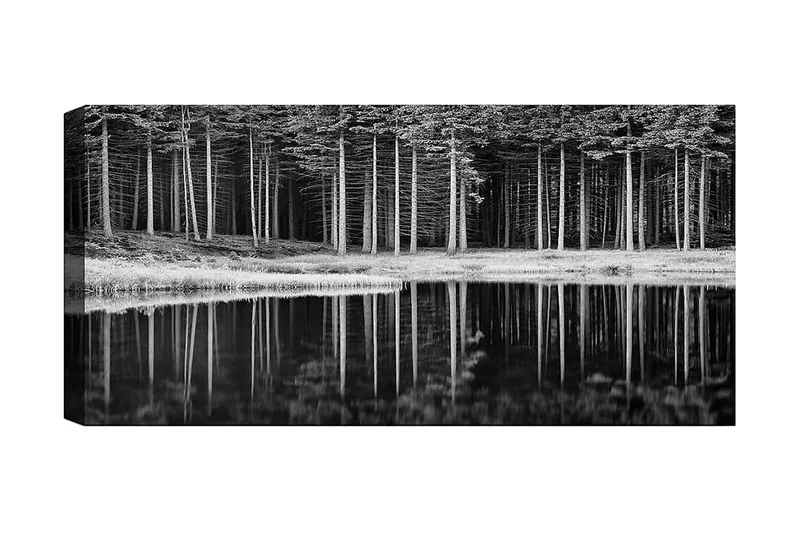 Canvastaulu YTY Landscape & Nature Monivärinen, 120x50 cm