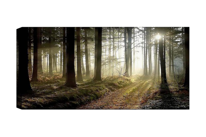 Canvastaulu YTY Landscape & Nature Monivärinen - 120x50 cm - Sisustustuotteet - Taulu & taide - Canvas-taulu