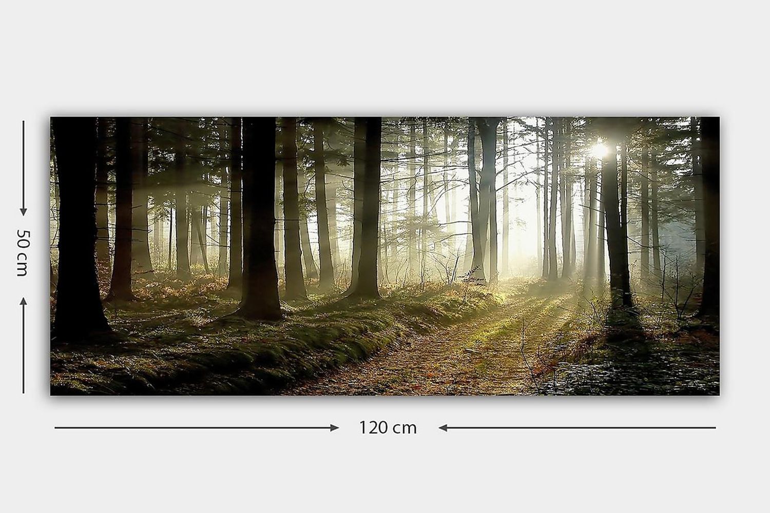 Canvastaulu YTY Landscape & Nature Monivärinen - 120x50 cm - Sisustustuotteet - Taulu & taide - Canvas-taulu