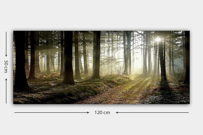 Canvastaulu YTY Landscape & Nature Monivärinen - 120x50 cm - Sisustustuotteet - Taulu & taide - Canvas-taulu