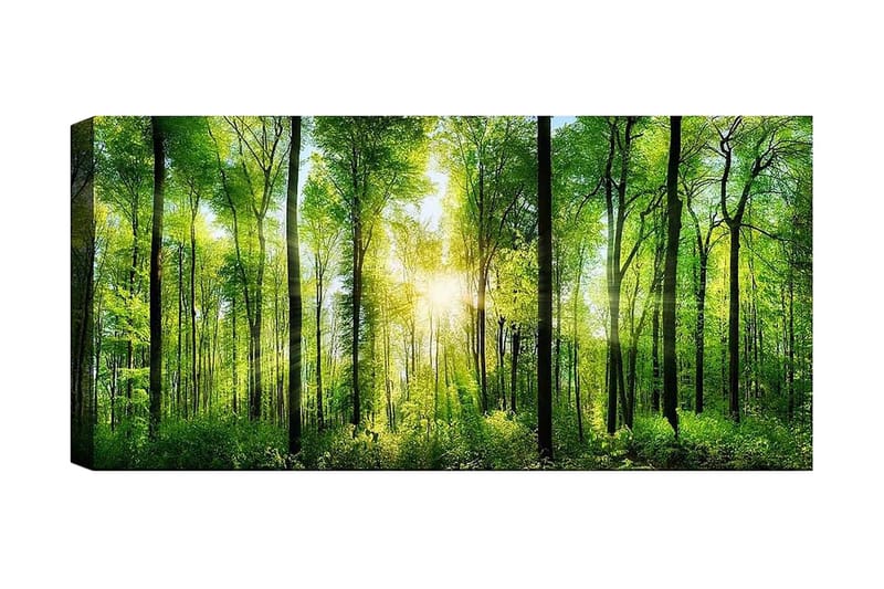 Canvastaulu YTY Landscape & Nature Monivärinen - 120x50 cm - Sisustustuotteet - Taulu & taide - Canvas-taulu