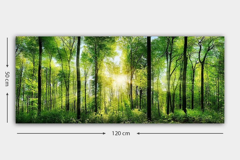 Canvastaulu YTY Landscape & Nature Monivärinen - 120x50 cm - Sisustustuotteet - Taulu & taide - Canvas-taulu