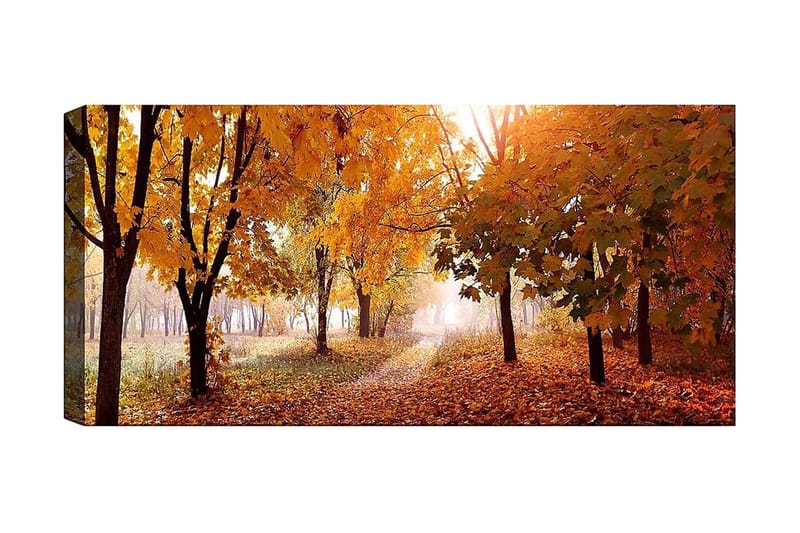Canvastaulu YTY Landscape & Nature Monivärinen - 120x50 cm - Sisustustuotteet - Taulu & taide - Canvas-taulu