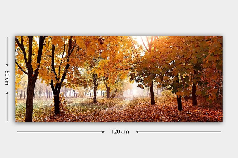 Canvastaulu YTY Landscape & Nature Monivärinen - 120x50 cm - Sisustustuotteet - Taulu & taide - Canvas-taulu
