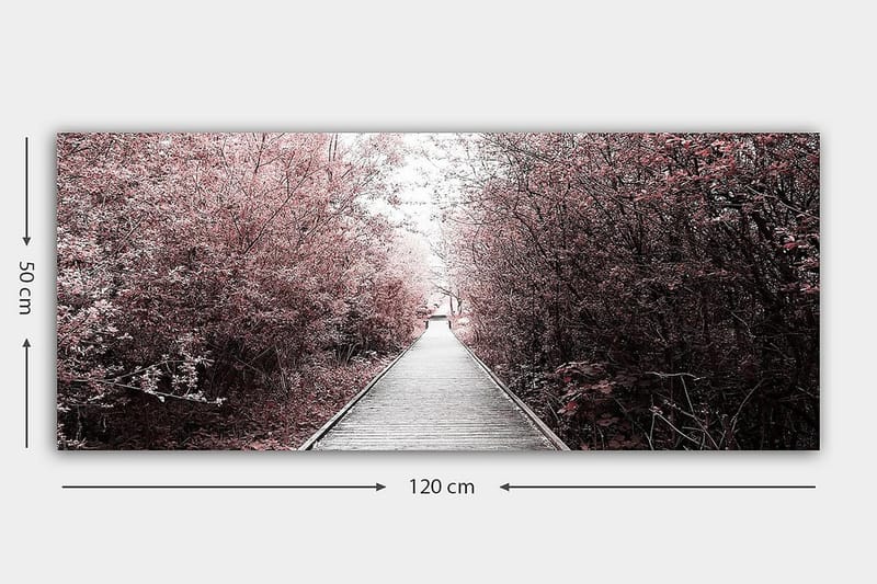 Canvastaulu YTY Landscape & Nature Monivärinen - 120x50 cm - Sisustustuotteet - Taulu & taide - Canvas-taulu