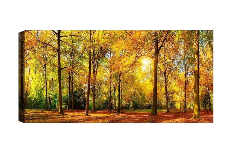 Canvastaulu YTY Landscape & Nature Monivärinen - 120x50 cm - Sisustustuotteet - Taulu & taide - Canvas-taulu