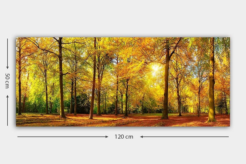 Canvastaulu YTY Landscape & Nature Monivärinen - 120x50 cm - Sisustustuotteet - Taulu & taide - Canvas-taulu