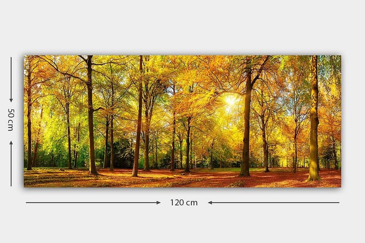 Canvastaulu YTY Landscape & Nature Monivärinen - 120x50 cm - Seinäkoristeet - Canvas-taulu