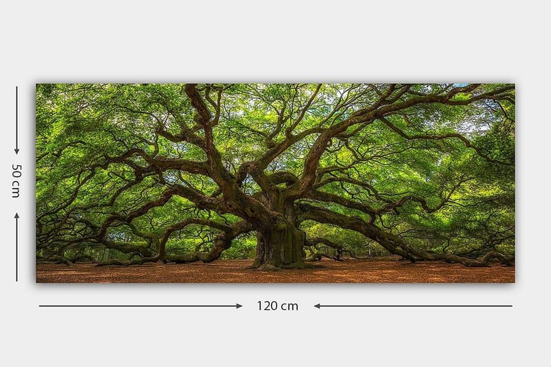 Canvastaulu YTY Landscape & Nature Monivärinen - 120x50 cm - Sisustustuotteet - Taulu & taide - Canvas-taulu