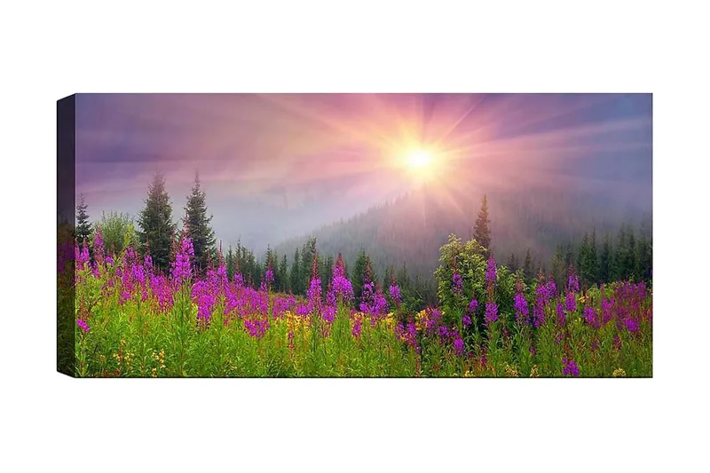 Canvastaulu YTY Landscape & Nature Monivärinen, 120x50 cm