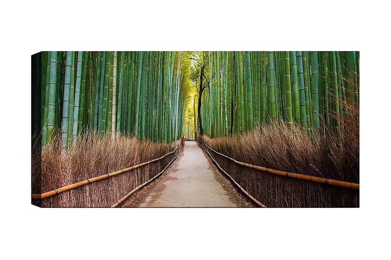 Canvastaulu YTY Landscape & Nature Monivärinen, 120x50 cm