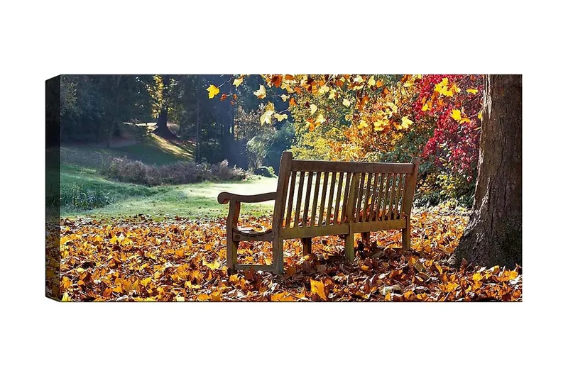 Canvastaulu YTY Landscape & Nature Monivärinen, 120x50 cm