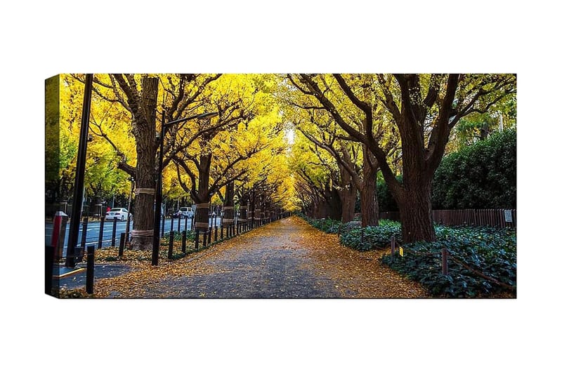 Canvastaulu YTY Landscape & Nature Monivärinen, 120x50 cm