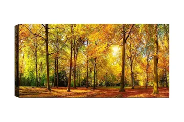 Canvastaulu YTY Landscape & Nature Monivärinen - 120x50 cm - Sisustustuotteet - Taulu & taide - Canvas-taulu