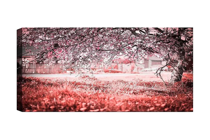 Canvastaulu YTY Landscape & Nature Monivärinen, 120x50 cm