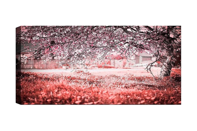 Canvastaulu YTY Landscape & Nature Monivärinen, 120x50 cm