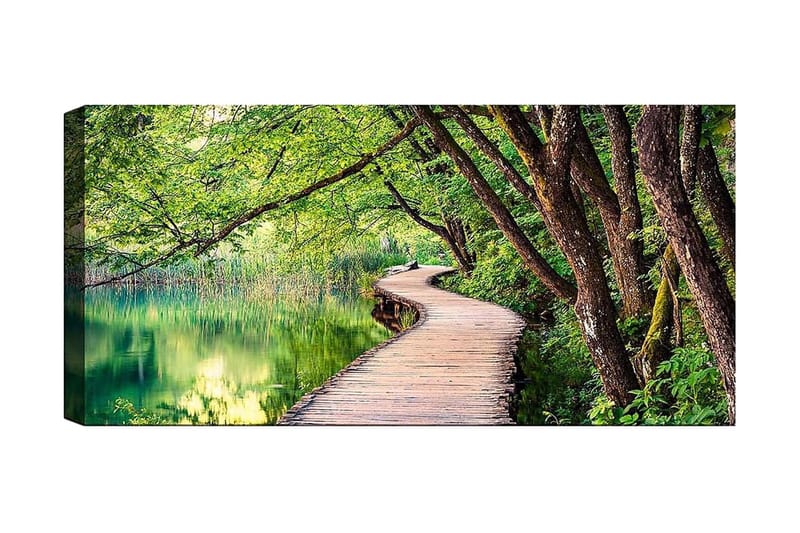 Canvastaulu YTY Landscape & Nature Monivärinen, 120x50 cm