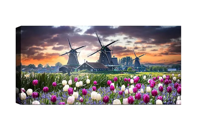 Canvastaulu YTY Landscape & Nature Monivärinen, 120x50 cm