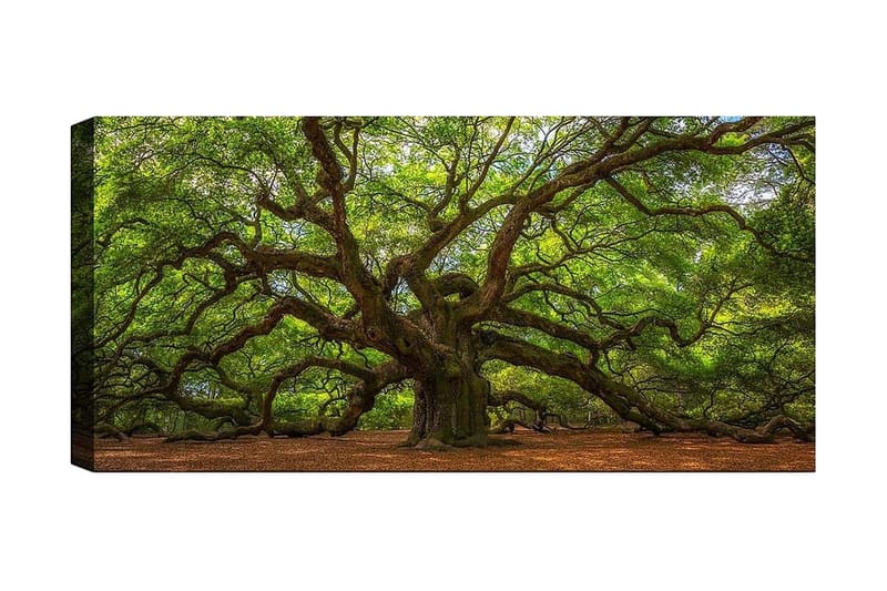 Canvastaulu YTY Landscape & Nature Monivärinen, 120x50 cm