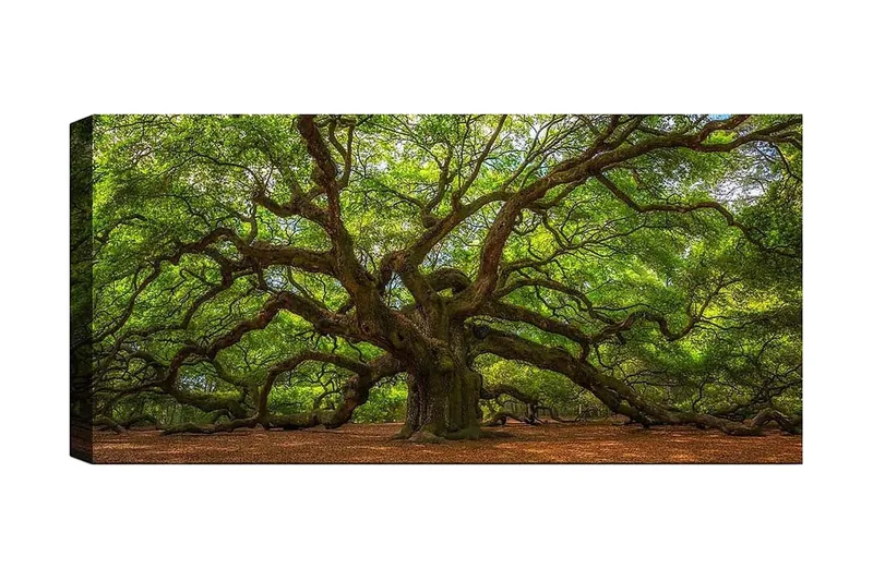 Canvastaulu YTY Landscape & Nature Monivärinen, 120x50 cm