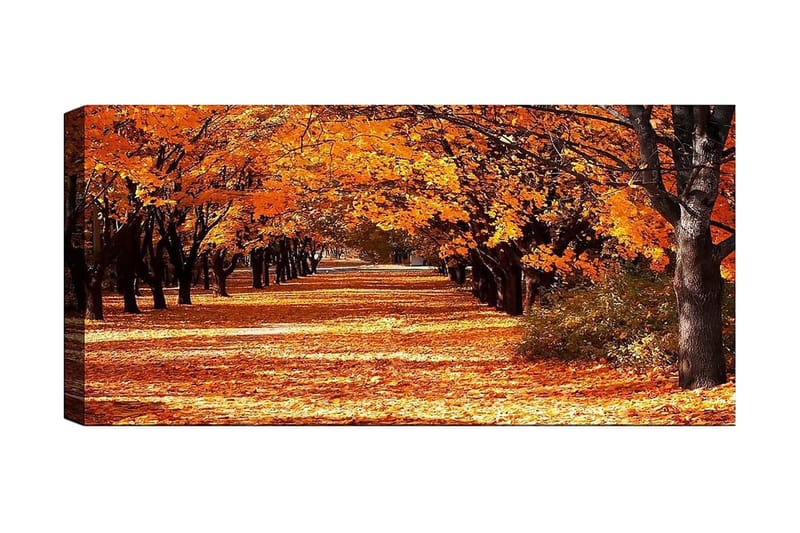 Canvastaulu YTY Landscape & Nature Monivärinen, 120x50 cm