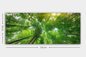 Canvastaulu YTY Landscape & Nature Monivärinen - 120x50 cm - Sisustustuotteet - Taulu & taide - Canvas-taulu