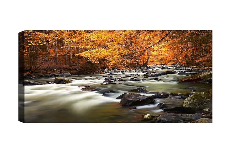 Canvastaulu YTY Landscape & Nature Monivärinen, 120x50 cm