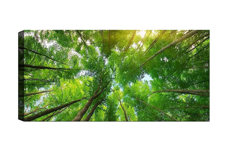 Canvastaulu YTY Landscape & Nature Monivärinen, 120x50 cm