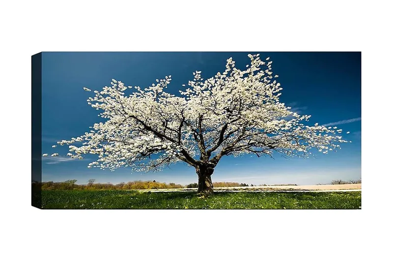 Canvastaulu YTY Landscape & Nature Monivärinen, 120x50 cm