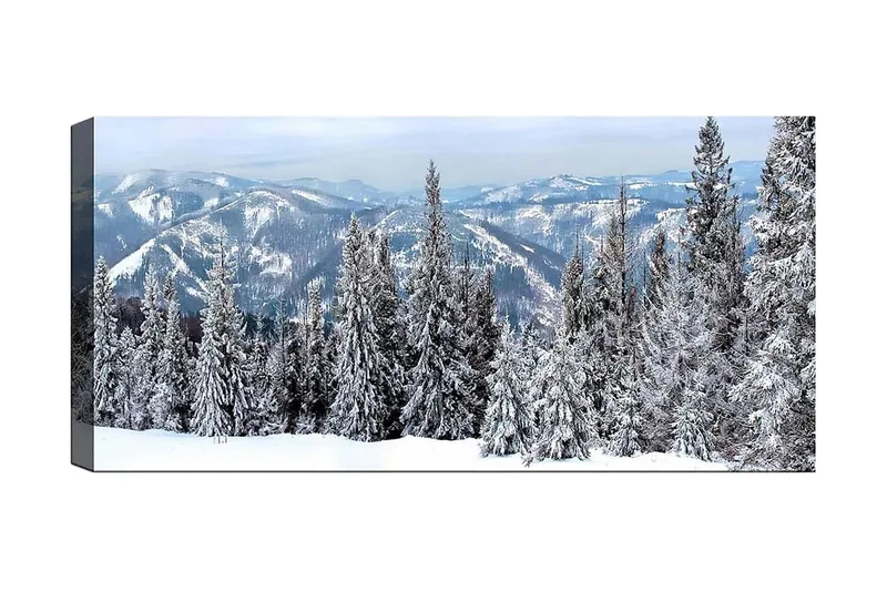 Canvastaulu YTY Landscape & Nature Monivärinen, 120x50 cm