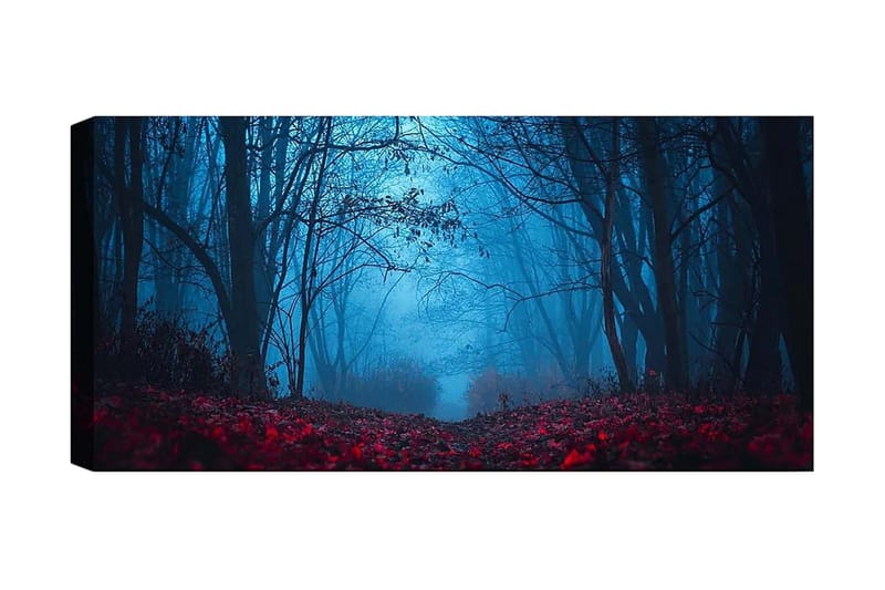 Canvastaulu YTY Landscape & Nature Monivärinen, 120x50 cm