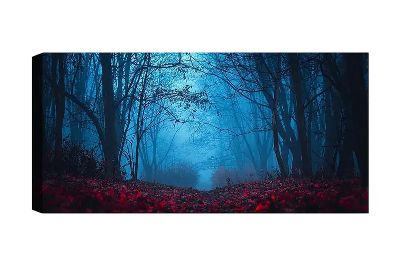 Canvastaulu YTY Landscape & Nature Monivärinen, 120x50 cm