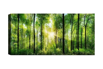 Canvastaulu YTY Landscape & Nature Monivärinen - 120x50 cm - Sisustustuotteet - Taulu & taide - Canvas-taulu