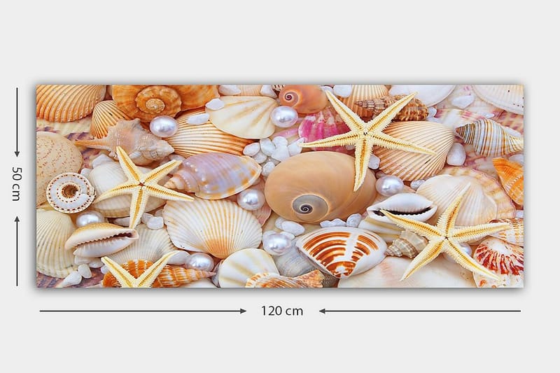 Canvastaulu YTY Nautical & Beach Monivärinen - 120x50 cm - Sisustustuotteet - Taulu & taide - Canvas-taulu