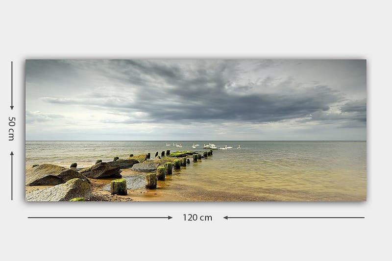 Canvastaulu YTY Nautical & Beach Monivärinen - 120x50 cm - Sisustustuotteet - Taulu & taide - Canvas-taulu