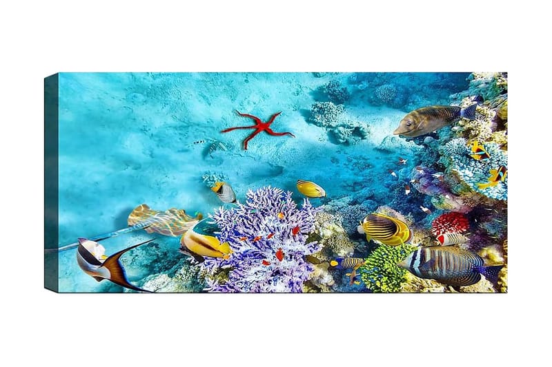 Canvastaulu YTY Nautical & Beach Monivärinen - 120x50 cm - Sisustustuotteet - Taulu & taide - Canvas-taulu