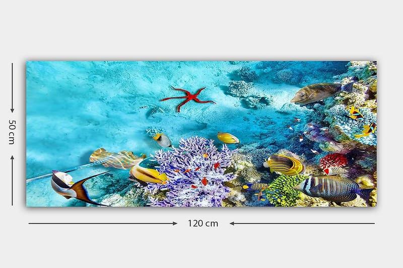 Canvastaulu YTY Nautical & Beach Monivärinen - 120x50 cm - Sisustustuotteet - Taulu & taide - Canvas-taulu