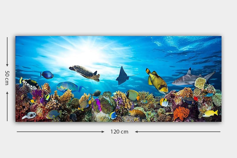 Canvastaulu YTY Nautical & Beach Monivärinen - 120x50 cm - Sisustustuotteet - Taulu & taide - Canvas-taulu