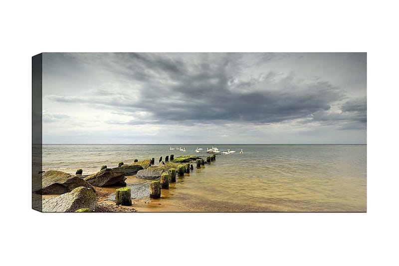 Canvastaulu YTY Nautical & Beach Monivärinen, 120x50 cm
