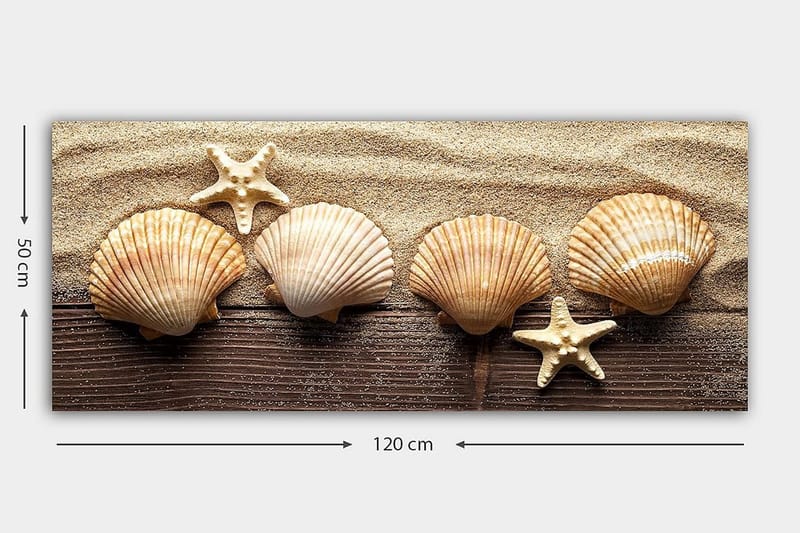 Canvastaulu YTY Nautical & Beach Monivärinen - 120x50 cm - Sisustustuotteet - Taulu & taide - Canvas-taulu