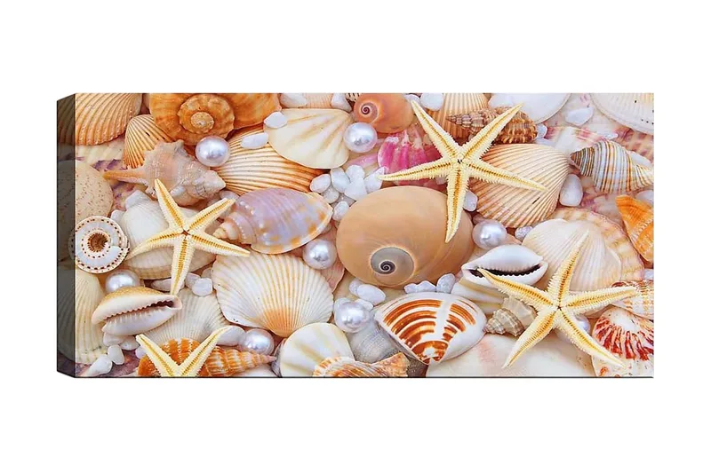 Canvastaulu YTY Nautical & Beach Monivärinen, 120x50 cm