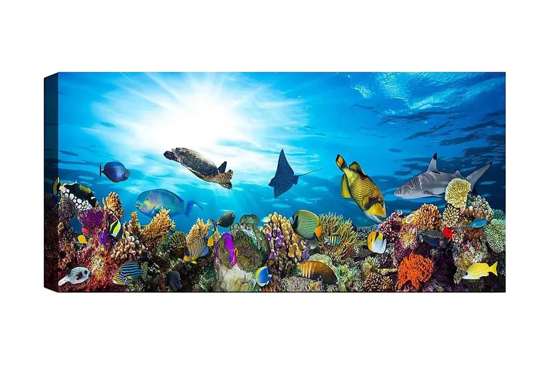 Canvastaulu YTY Nautical & Beach Monivärinen - 120x50 cm - Sisustustuotteet - Taulu & taide - Canvas-taulu