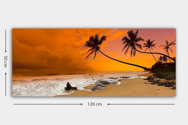 Canvastaulu YTY Nautical & Beach Monivärinen - 120x50 cm - Sisustustuotteet - Taulu & taide - Canvas-taulu