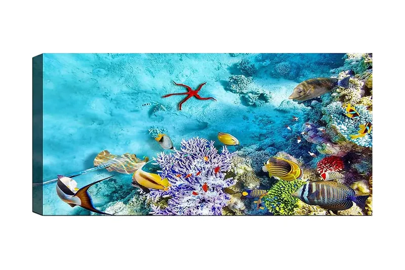 Canvastaulu YTY Nautical & Beach Monivärinen, 120x50 cm