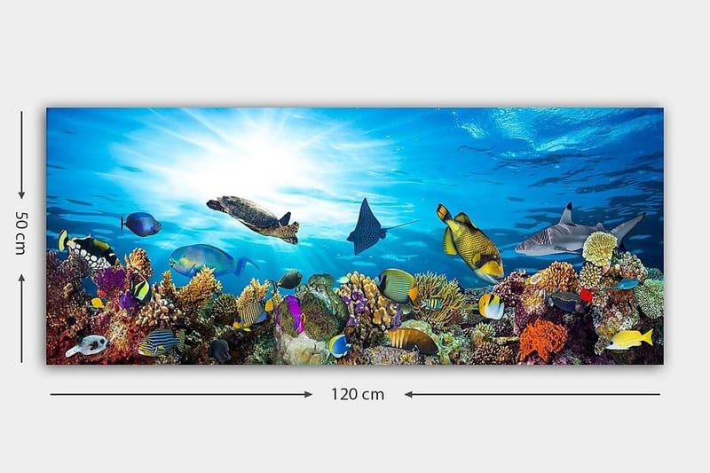 Canvastaulu YTY Nautical & Beach Monivärinen - 120x50 cm - Sisustustuotteet - Taulu & taide - Canvas-taulu