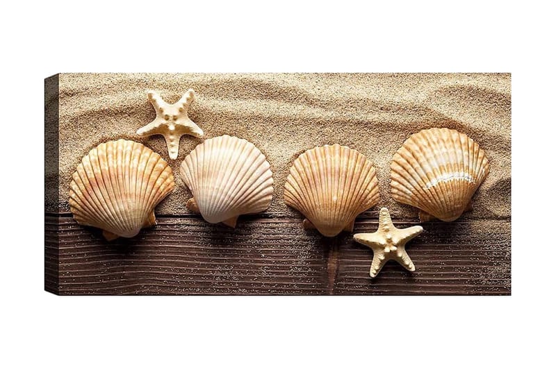 Canvastaulu YTY Nautical & Beach Monivärinen, 120x50 cm