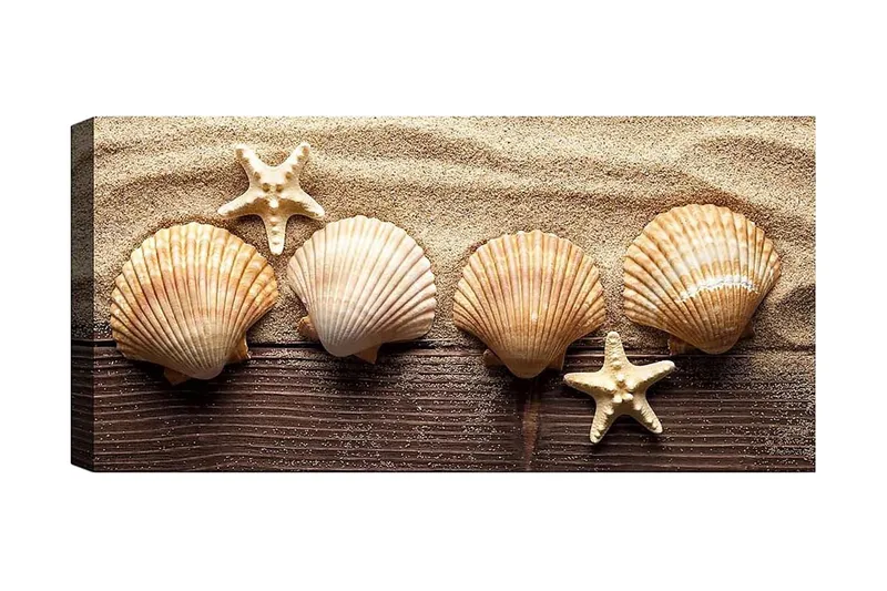 Canvastaulu YTY Nautical & Beach Monivärinen, 120x50 cm