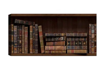 Canvastaulu YTY Reading and Literature Monivärinen - 120x50 cm - Sisustustuotteet - Taulu & taide - Canvas-taulu