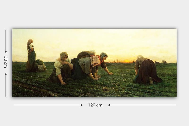 Canvastaulu YTY People Monivärinen - 120x50 cm - Sisustustuotteet - Taulu & taide - Canvas-taulu